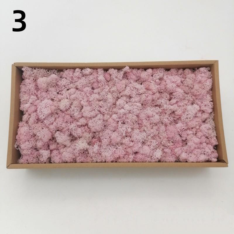 Neue 50/30/10g Künstliche Grüne Pflanzen Ewiges Leben Moos Gras Heim Garten Dekoration Mini Landschaft Künstliche Blume DIY Bastelgeschenke