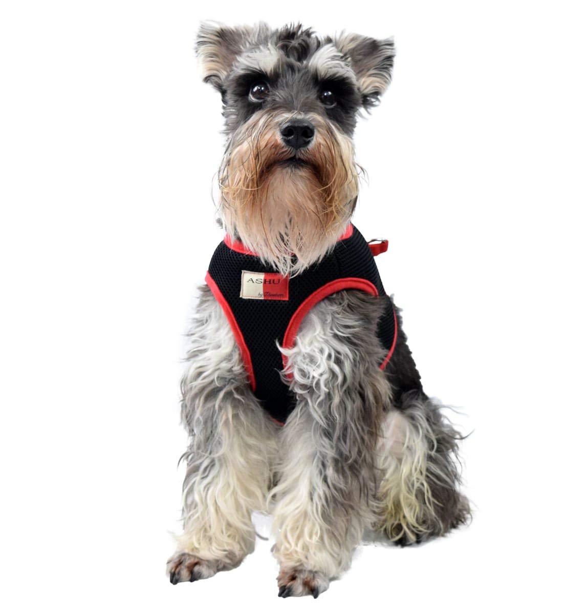 Шлейка для собак ASHU, Сетчатая, Черная, L (Обхват груди 42-47 см), Tezukayama Houndcam