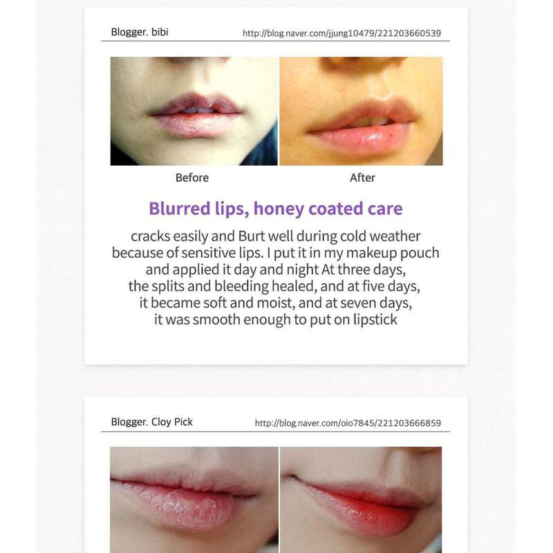 Frudia Blaubeer Feuchtigkeitsspendender Honig Lippenbalsam