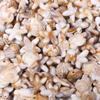 50pcs/lot Ocean Animal Acrylic Beads Turtle Starfish Conch Beads Beige Loose Beads For Jewelry Making DIY Bracelet Accessories