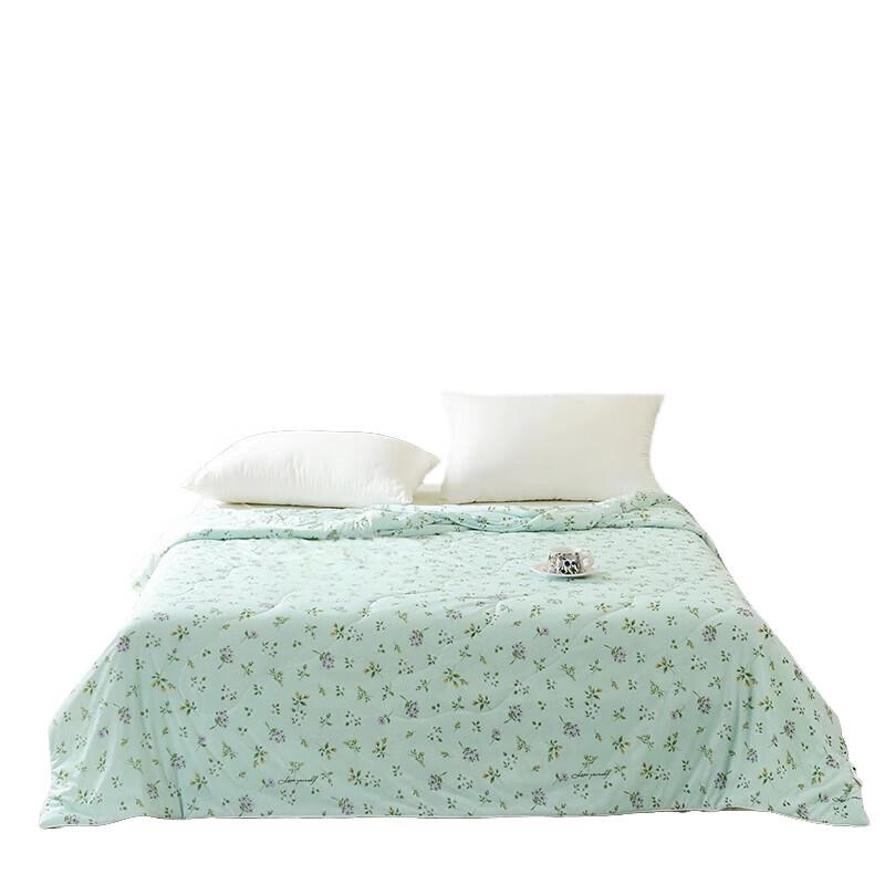 

Roman Roland R-xb004 Cooling Lightweight Quilt