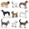 Pvc Toy Small Breed Dog Animal Model For Kids Play And Educational Use