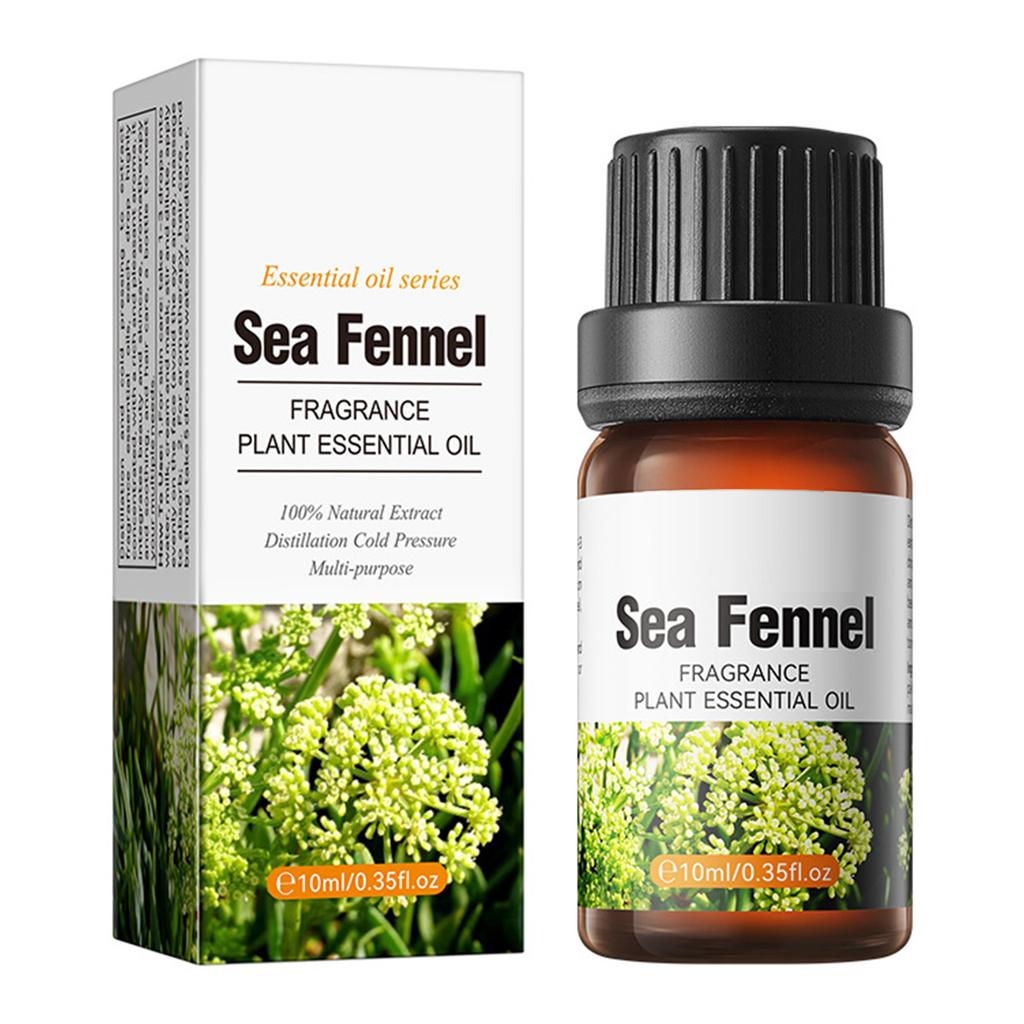 Body Scent Essence Oil, 10ml Moisturizing Care for All Skin Types, Daily Use Fragrance for Women Men, Luxurious Feel