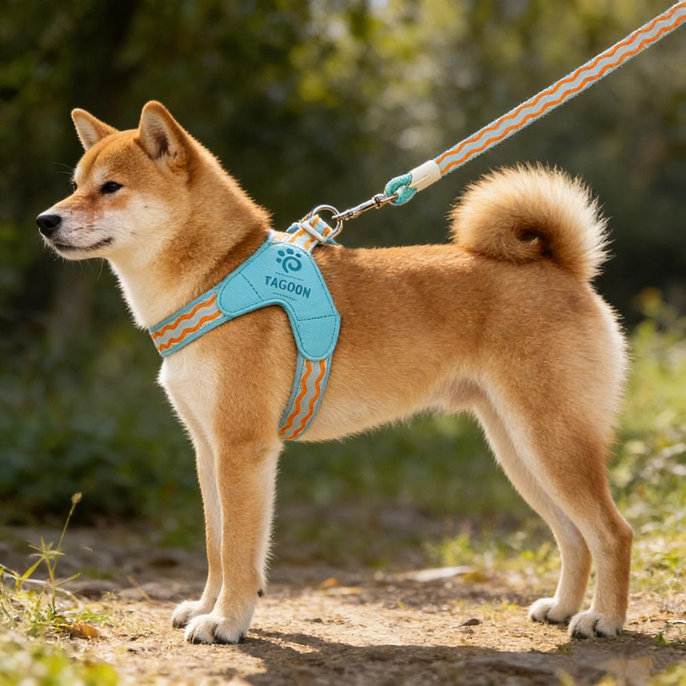Leichtes Welpen-Hundesattelgeschirr und Leinen-Set für kleine mittelgroße Hunde Gepolsterte Haustiergeschirre Shiba Inu Corgi Mops Haustiere Zubehör