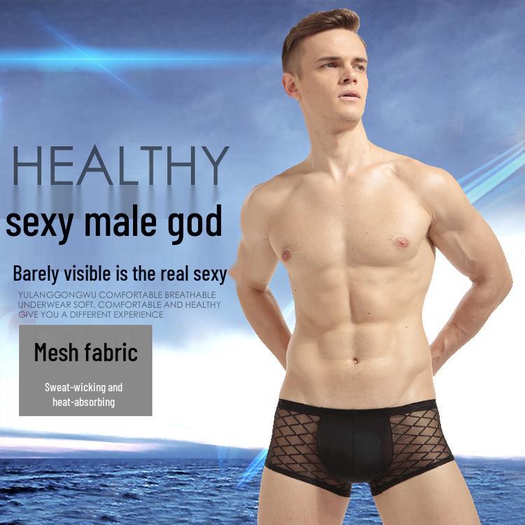 Men's Large Mesh Breathable Erotic Boxer Briefs