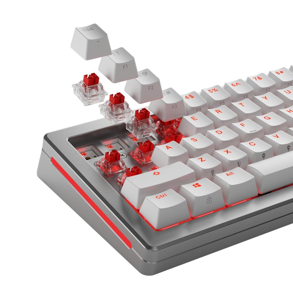 Glorious Fox HE Switches Standard Retail KB0885 - - GLO-KB-ACC-SWT-FOX-HE-36