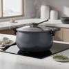 Micro Pressure Cooker Induction and Gas Compatible Multi Function Stew Pot