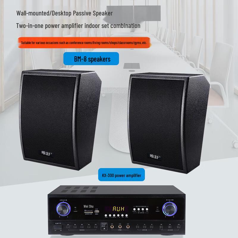 Weishu BM-8 10-inch Wall-Mount Passive Speaker System with KX-300 Amplifier