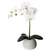 Real Touch Artificial Orchid With Concrete Pot