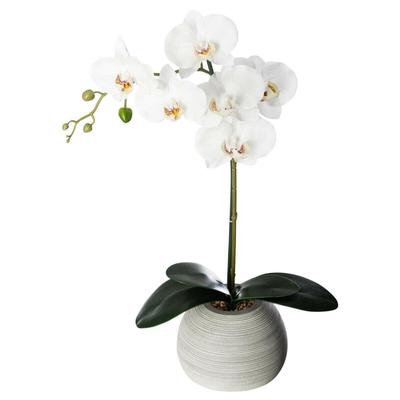 Real Touch Artificial Orchid With Concrete Pot