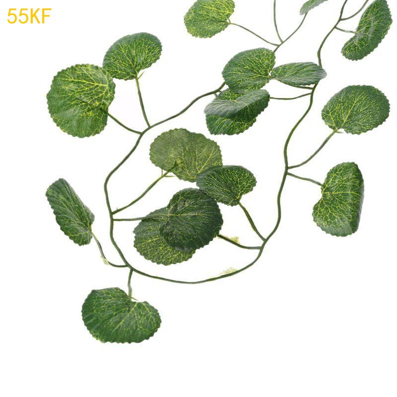 55KF Haustier Eckast Pflanzen für Amphibien Bartagame