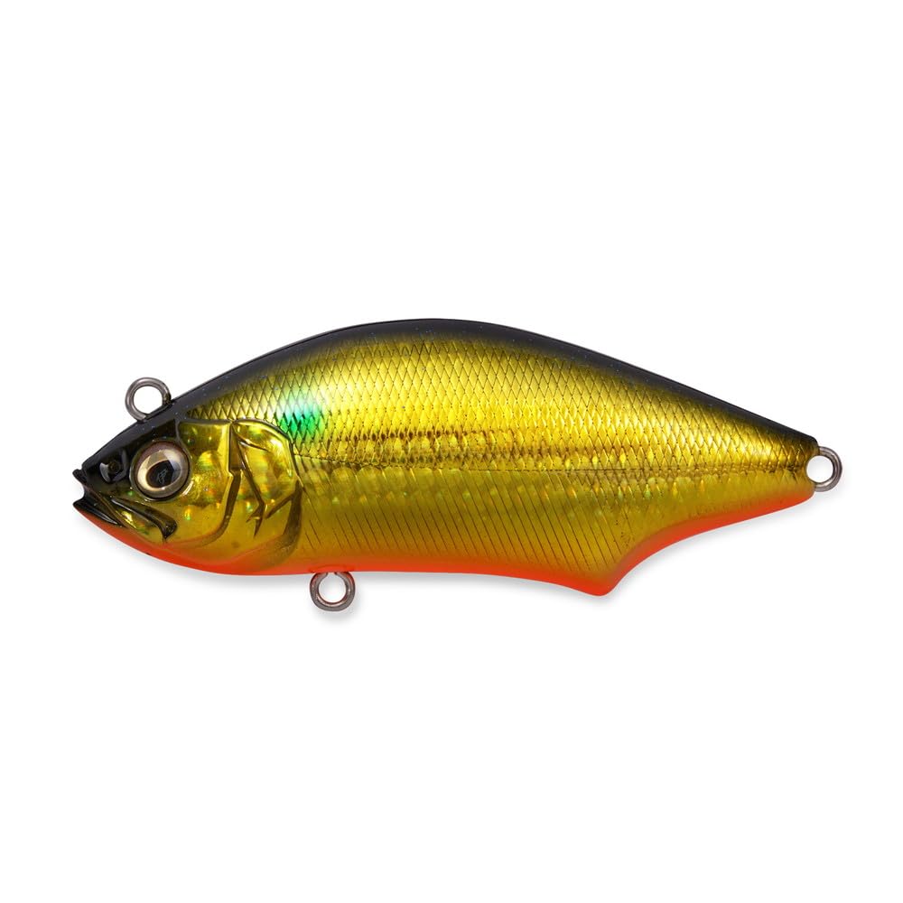 Megabass Hadara Trap 70 GG Kinbora