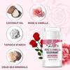 48-Hour Odor Control & Antiperspirant Roll-On- Natural Deodorant for Sensitive Skin, Sweat Protection & Long-Lasting Freshness