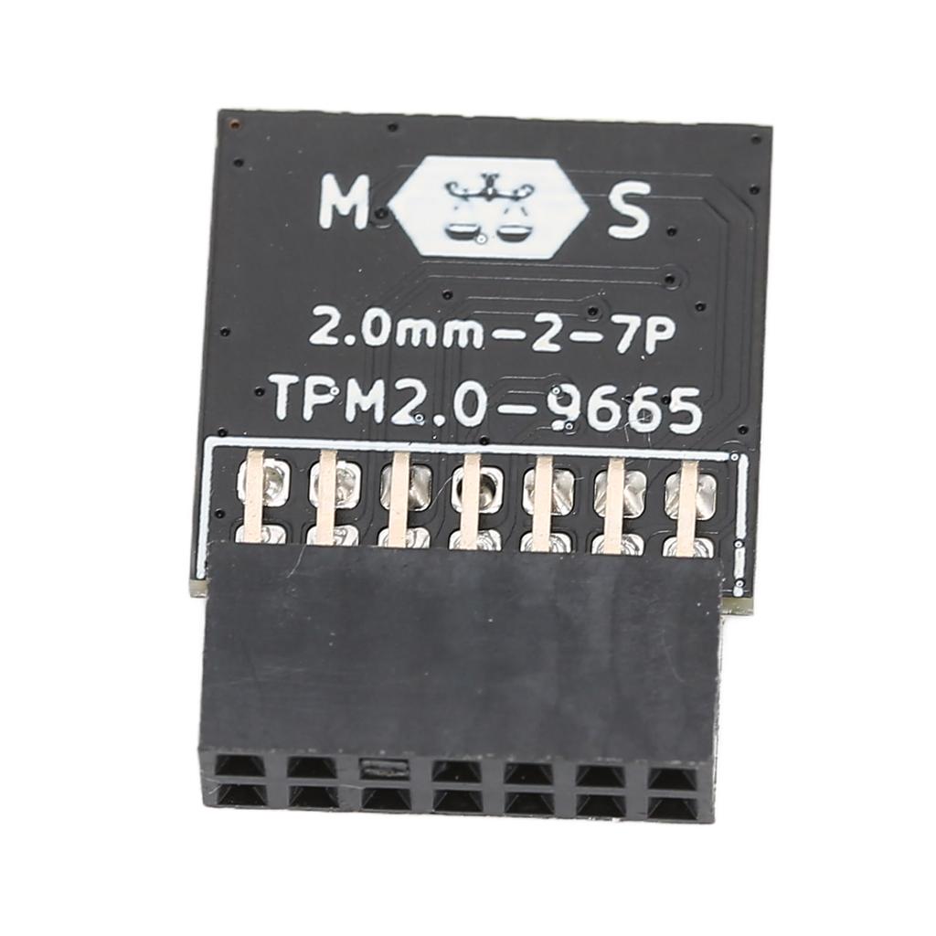TPM 2.0 Module LPC 14 Pin Tpm 2.0 Remote Card Encryption Security Module for MSI for Windows