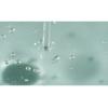 [ROUNDLAB] Pine Calming Cica Ampoule 30ml×2 / KOREA COSMETIC