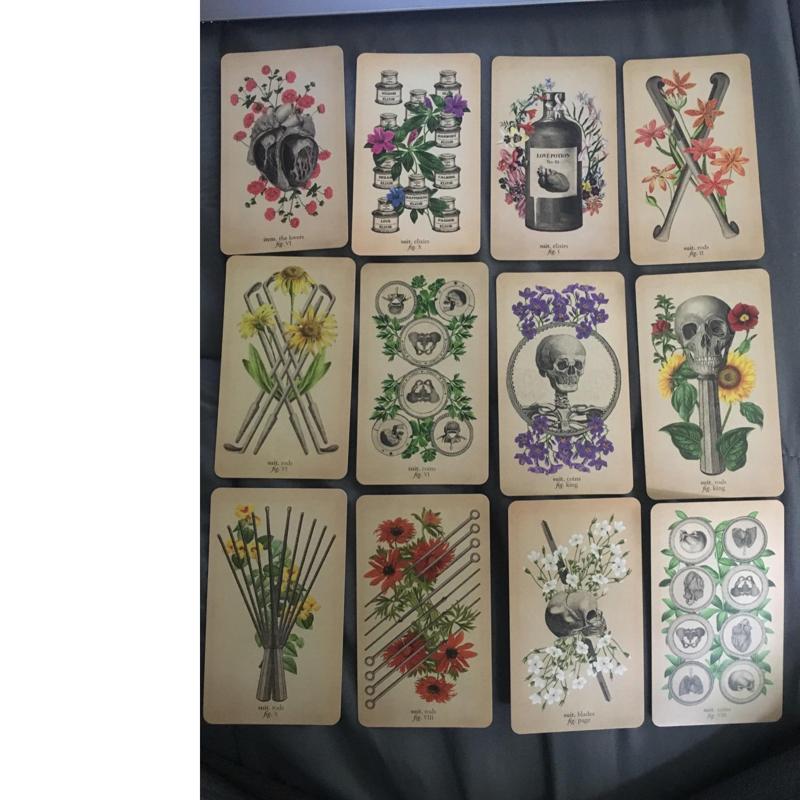 The Antique Anatomy Tarots 78-Card Deck Full English Oracle Cards Divination Fate Family Party Board Game