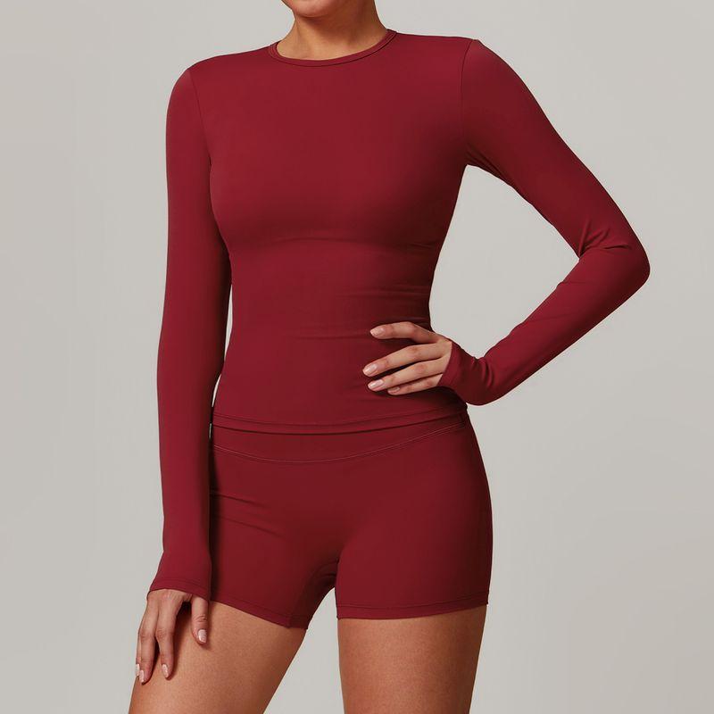 Guangzhou Zechuang Clothing Co., Ltd. European and American Tight Sanding Yoga Suit Quick-Drying Workout Clothes Winter Outdoor