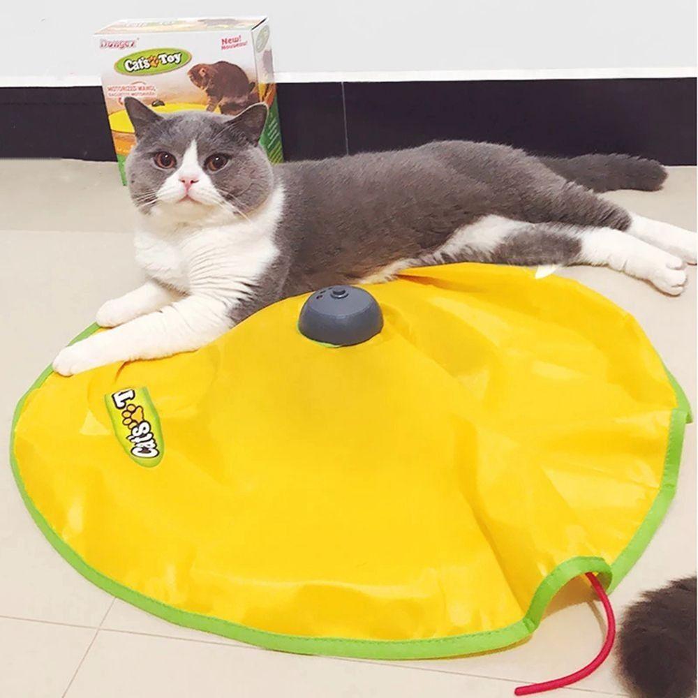 Feather Attachment Interactive Cat Toy Chew Resistant Automatic Cat Toy  Pet Play