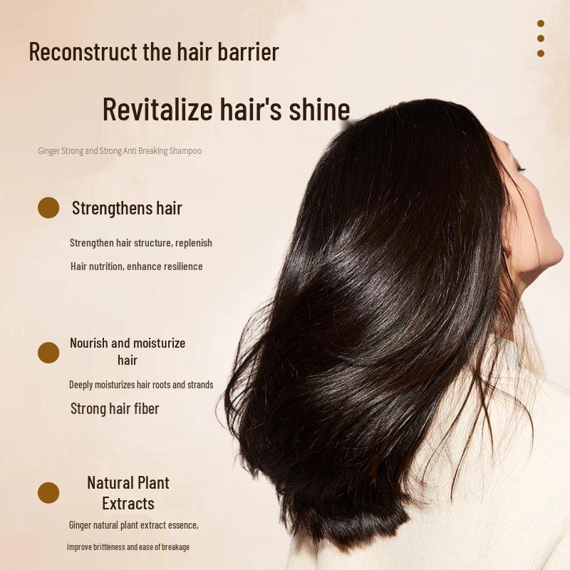 Starkes Kräutershampoo gegen Haarbruch mit Ingwer - Tiefenreinigung und große Kapazität