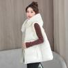 Den nya damens kalla tunna jacka bomullskläder mode mångsidig förtjockad varm högkvalitativt tyg lätt kort västjacka bomulls undertröjor