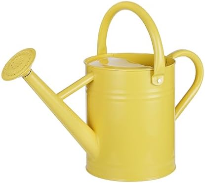 

1 Gallon Galvanized Steel Watering Can with Removable Spout and Ergonomic Movable Handle for Indoor/Outdoor Gardening (White)