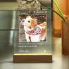 Custom Night Light Pet Memorial Plaque For Dog Cat Personalized Pet Growth Ornament Engrave Pet Info Record Lovely Daily Moment