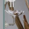 Transparent Glass Shrimp Feeding Dish Multifunctional Acrylic Shrimp Bowl Fish Tank Aquarium