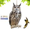 Bird Scarer Devices Decorative 2D Owl Scarecrow Pendant Realistic Bird Scare Tools With Bell Garden Scarecrow Scare Birds Away