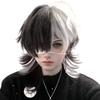 ADOSSY Wolf Hair Black and Cool and Visual Punk Rock Style and Wig, Two-Tone White, Unique, Genderless, Kei, (Black White)