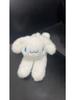Capybara Pappa Plush Toy - Panda, Fox, Raccoon & Rabbit Velvet Stuffed Animal Doll