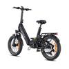 ENGWE L20 3.0 PRO Electric Bicycle Adult 250W Motor 48V15AH Battery 20" Fat Tires Electric Bike