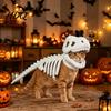Kostium Halloweenowy dla Kota Kostium Szkieletu Dinozaura Uroczy Strój Zabawny do Stylizacji Koty Cosplay Impreza Rekwizyty Fotograficzne Łatwy do Założenia Ubranka dla Zwierząt