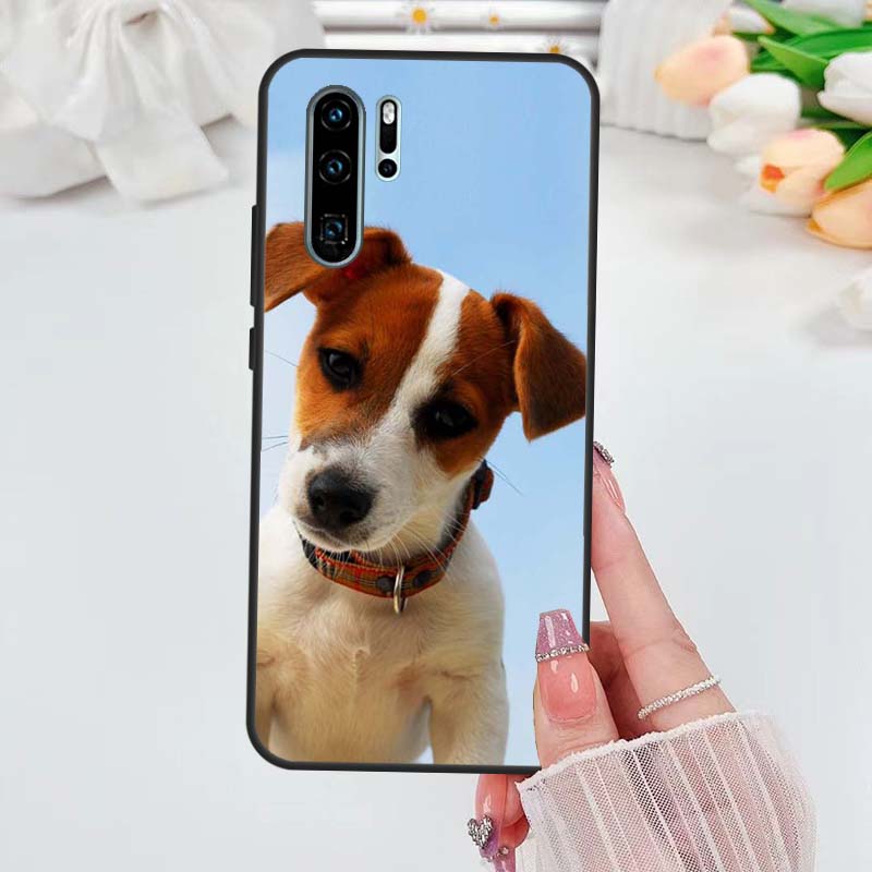 Jack Russell Terrier Dog Case For Huawei Nova 5T 3i 7i 8i 11i 10 9 SE Y60 Y61 Y70 Y90 P20 P40 Lite P60 P30 Pro Cover