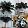 10pcs Ostrich Feathers, 11-13.8 inch(30-35cm) Natural Bulk White Feathers for Crafting Vase Wedding Party Home Christmas Day Decoration
