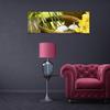 Canvas Print, Flowers Bamboo Zen
