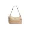 Teri 25 Klassieke Monogram Print PVC Schoudertas Dames Schoudertas Beige CC323-IMOT4