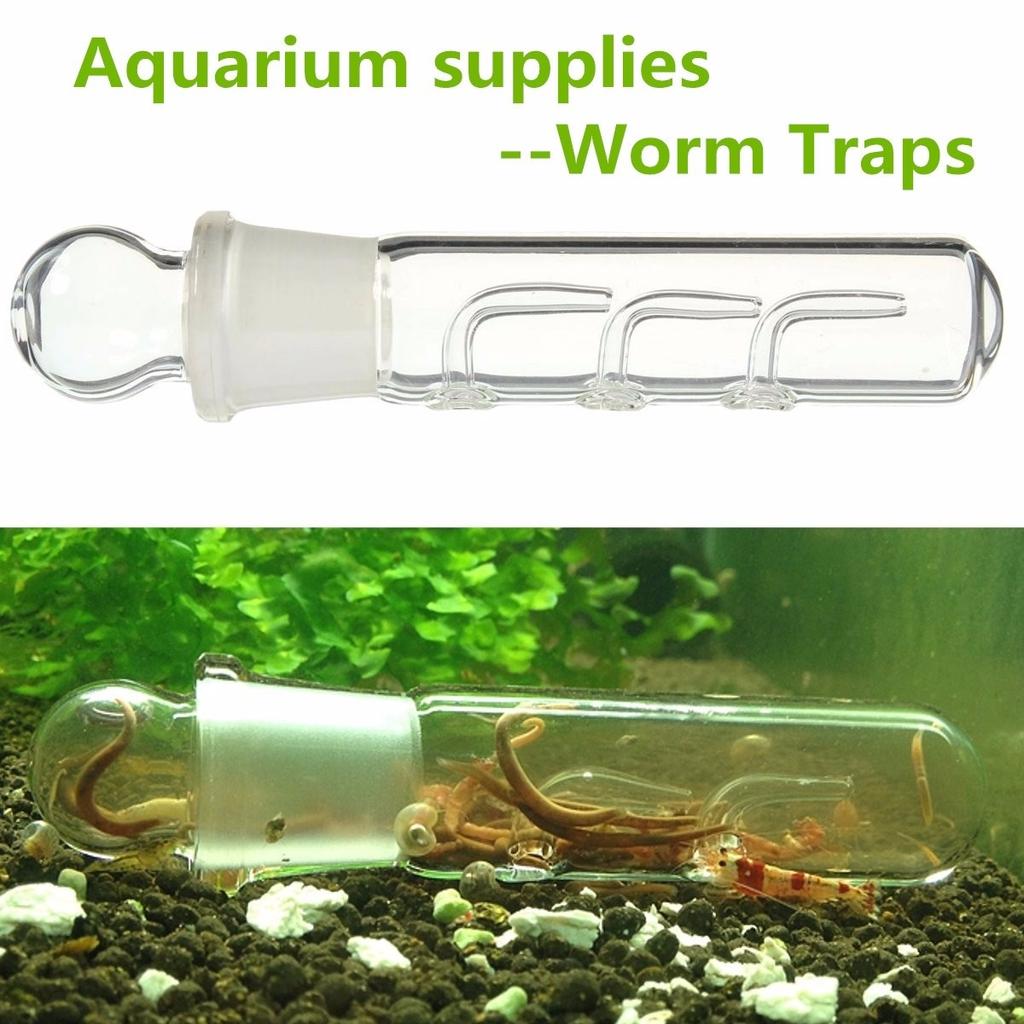 Planaria Traps Aquarium VIV Pest Catch Pen Shrimp Leeches Plannaria Plant Trap Worm Catcher