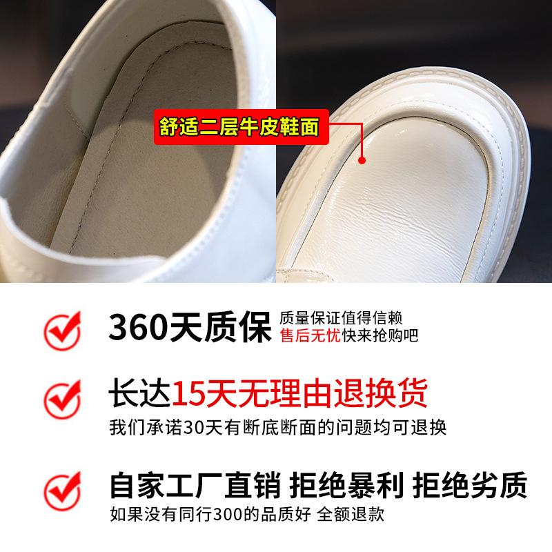 Spring 2025 New Fashion Single Shoes Women's Thick Heel Casual Shallow Mouth Leather Women's Shoes Round Head Versatile Small Leather Shoes Women's Ti