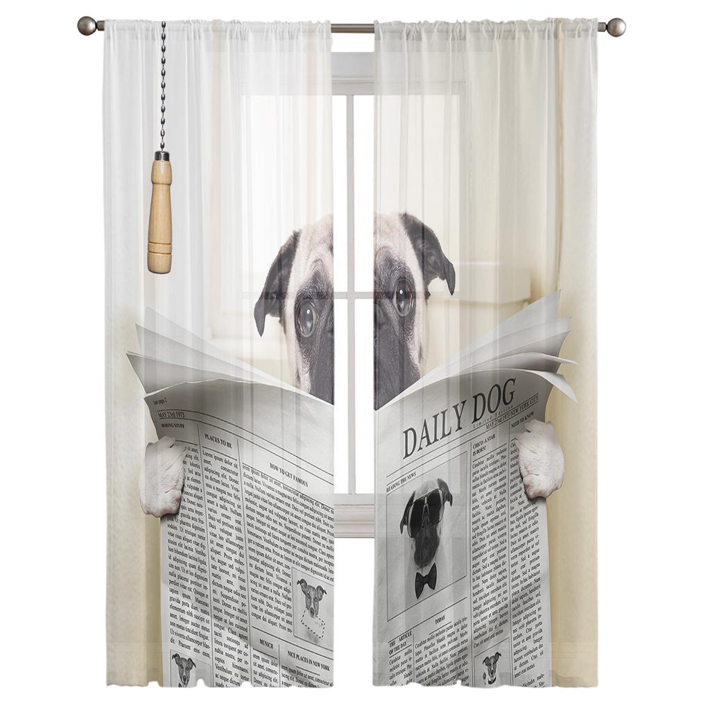 Lustige Zeitung Hund Fensterbehandlung Tüll Moderne Transparente Vorhänge für Küche Wohnzimmer Schlafzimmer Vorhänge Dekoration