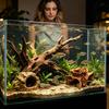 Pești și animale marine – Decorul acvariului