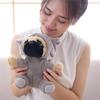 Stuffed Animals Pug Dog Plush Toys Cosplay Dinosaur Bulldog Dogs Plush  Birthday