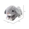 Takeoff Rabbit Maron Lop Ear Gray