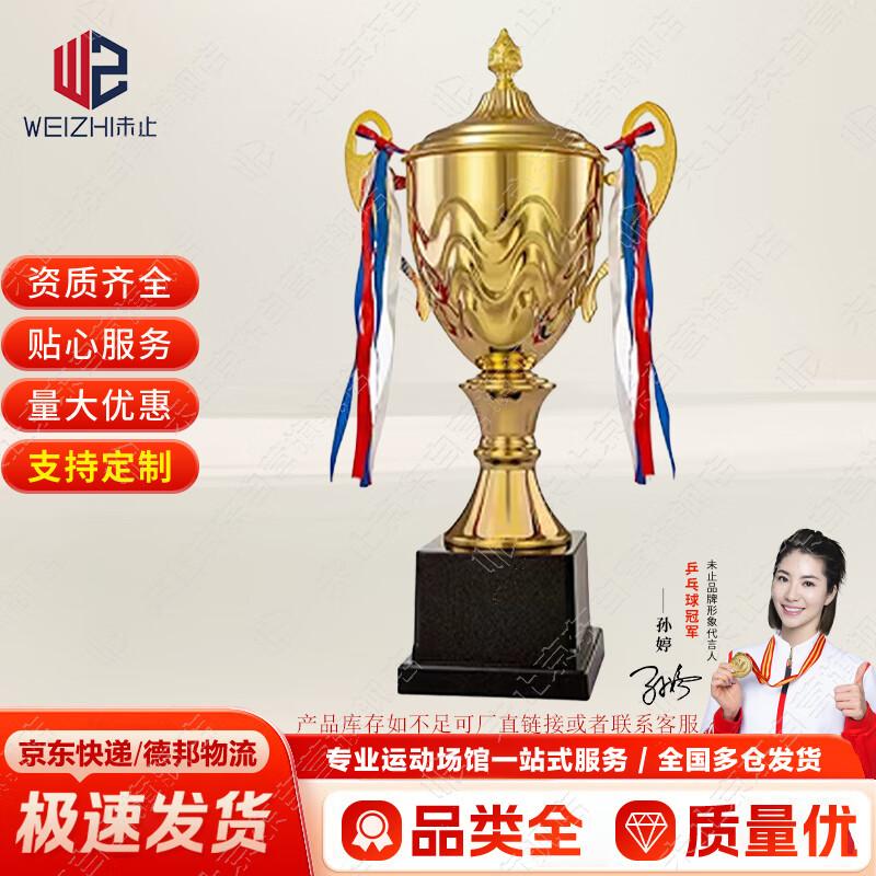 Weizhi Sports Champion Award Trophy