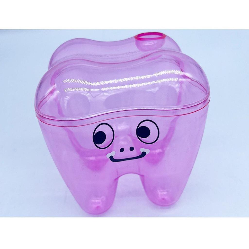 Tooth Molar Storage Box - Tooth-Shaped Organizer
