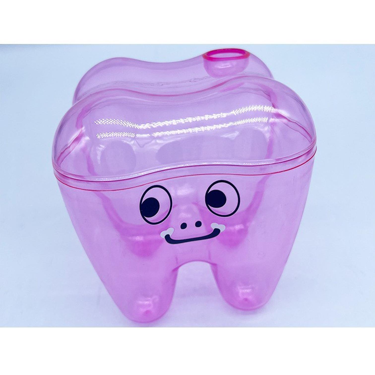 

Tooth Molar Storage Box - Tooth-Shaped Organizer