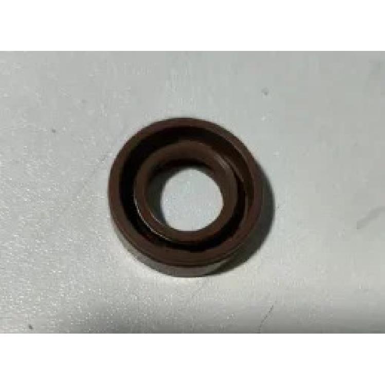 160P Engine High Pressure Oil Pump Repair Kit for Peugeot 308 3008 Mini Cooper engine parts fuel pump