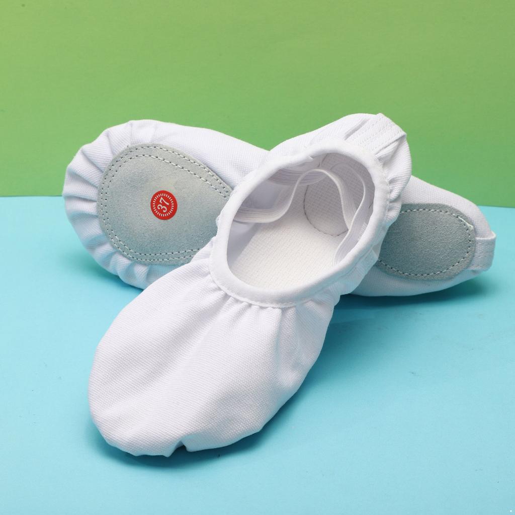 Toddler Ballet Shoes for Girls Soft Ballet Slippers Dance Shoes for Children