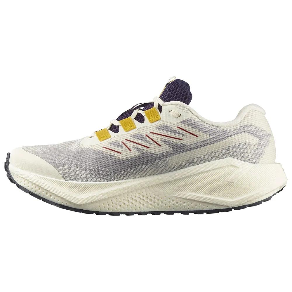 SALOMON Aero Blaze 3 Grvl Goretex Running Shoes