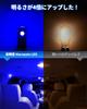 Marsauto T10 LED License Plate Light, DC Car, Non-Polarized, Position Lamp, Room Lamp,