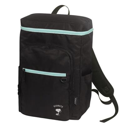 Snoopy Box-Shaped D-Pack Backpack, Black X Mint